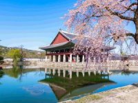 Japonya ve Güney Kore Seyahatlerinde Yüzde 30’a Varan Artış Yaşanıyor