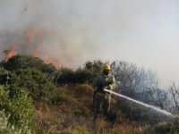OGM’den, Ege ve Akdeniz için Orman Yangını Uyarısı!