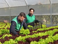 Pendik'te marullar yetişti