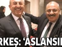 Bakan Çavuşoğlu'ndan Tuğrul Türkeş'i sevindiren gelişme: Aslansınız!
