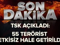 TSK: 55 terörist etkisiz hale getirildi, 4 bin 26 kişi yakalandı.