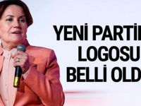 Meral Akşener’in 'kınalı eli' partinin logosu oluyor