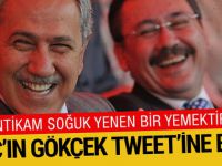 Arınç'tan bomba Gökçek tweeti: Eğer kalkmıyorsa!..