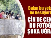 Sadece Çin'de görebileceğiniz kareler