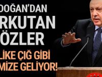 Erdoğan: Tehlike çığ gibi üzerimize geliyor!