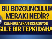 Cumhurbaşkanı Erdoğan'dan Düzce'de flaş açıklamalar...